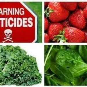 Bahaya Cemaran Fisik, Biologi, dan Kimia Pada Produk Pertanian