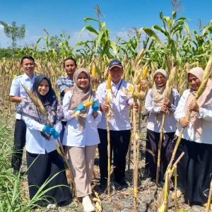Mengawal Mutu Pangan dan Sarana Produksi Pertanian dari Wonogiri